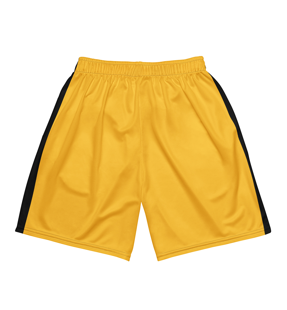 THE DRAGON - MESH SHORTS