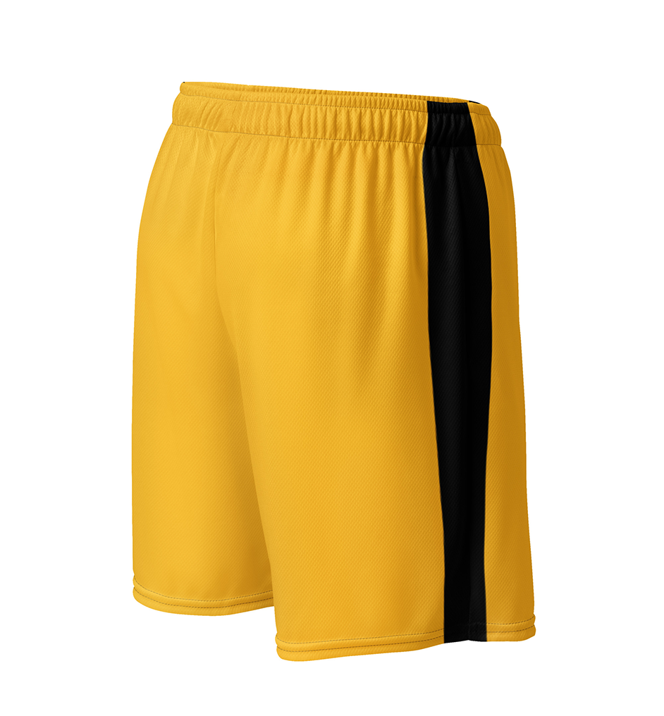 THE DRAGON - MESH SHORTS